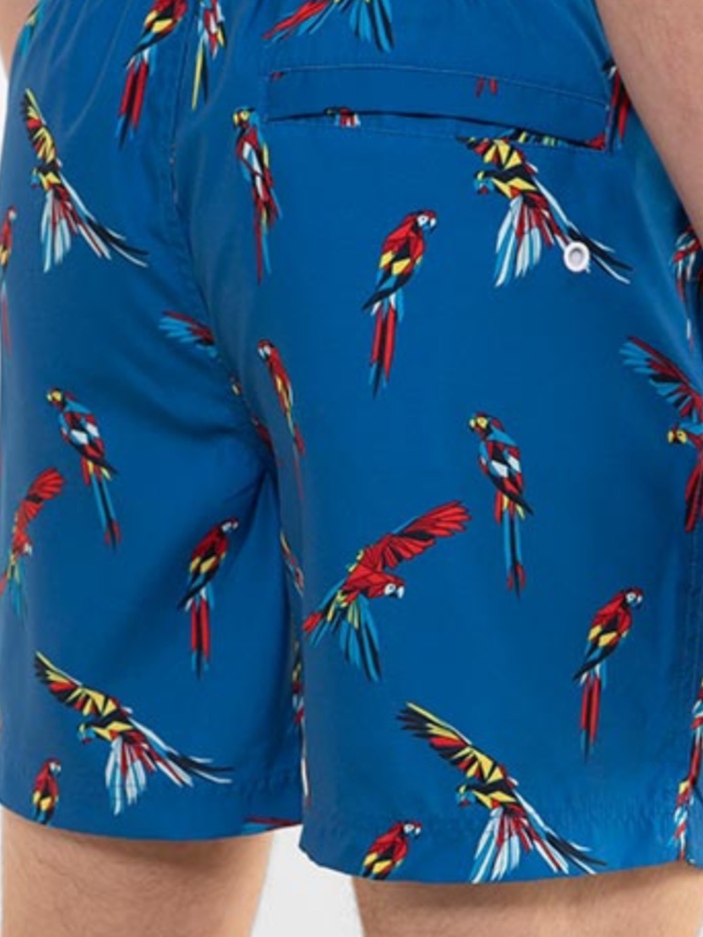 Original Penguin Royal Blue Swim Trunks with Parrot Design • NWOT • Size M